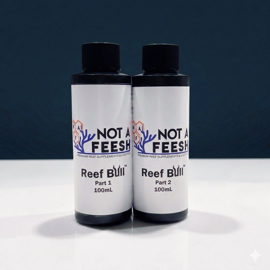 NAF - Reef Bull